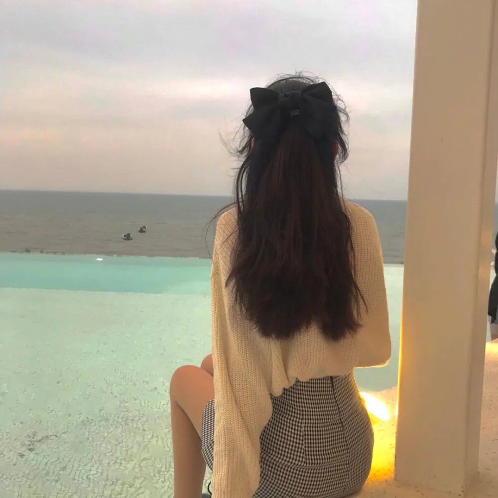 一条狗的使命2