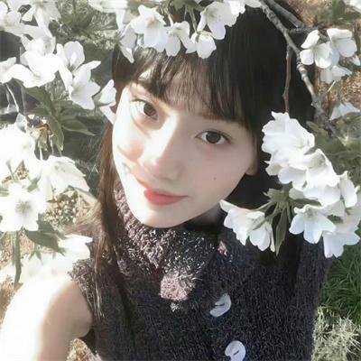 剧场版 少女与战车