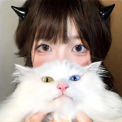 副总统第四季